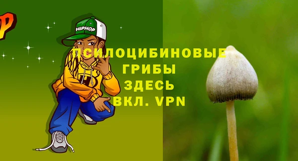 СК Абаза