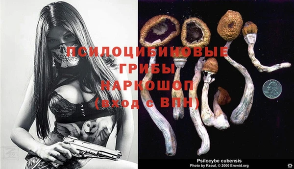 спиды Абдулино