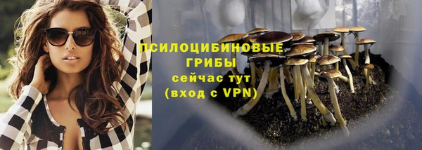 СК Абаза